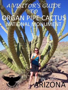 a woman standing in front of a cactus with the words, a visitor's guide to organ pipe cactus national monument