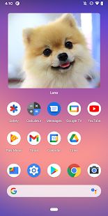 an image of a small dog on the screen with other app icons in the background