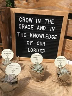 three succulents are placed in front of a sign that says grow in the grace and in the knowledge of our lord