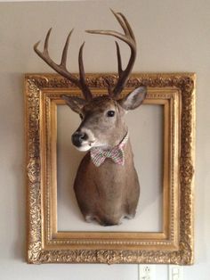 a deer's head mounted on the wall in front of a gold frame with a black bow tie