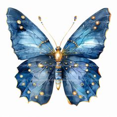 a blue butterfly with gold accents on it's wings and wings, sitting in front of