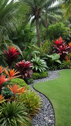 a garden with lots of plants and rocks