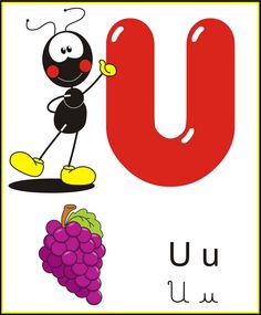 the letter u is for u with an antler and grapes