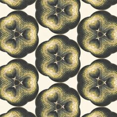 an image of some fruit that is green and gold color on white background with stars in the center