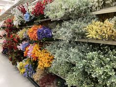 a bunch of flowers that are on a shelf in a store or other place to sell them