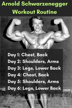 Arnold Schwarzenegger Daily Routine Arnold Split Workout, Arnold Back Workout, Arnold Workout Plan, Arnold Training, Accessory Workout, Home Gym Diy, Arnold Schwarzenegger Workout, Arnold Schwarzenegger Gym, Arnold Workout