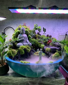 a buddha statue sitting on top of a blue bowl filled with green plants and moss