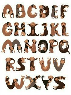 an animal alphabet is shown with the letters and numbers in different colors, including brown