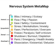 Disorganized Attachment Style, Disorganized Attachment, Polyvagal Theory, Brain Nervous System, Internal Family Systems, Giving Up Alcohol, Vagus Nerve, Attachment Styles