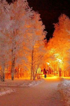 a person walking down a snow covered path at night with trees lit up in the background