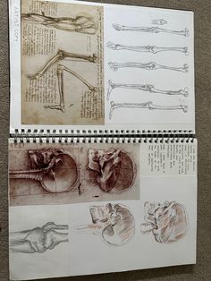 some drawings are shown on top of a piece of paper with different things in it