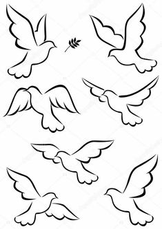 four birds flying in the air with wings spread out