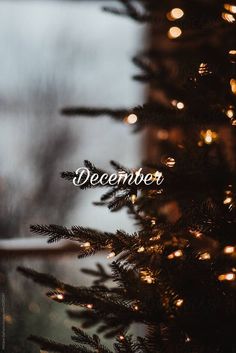 a christmas tree with the words december on it