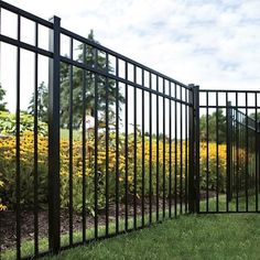 a black metal fence in the middle of a grassy area with yellow flowers behind it