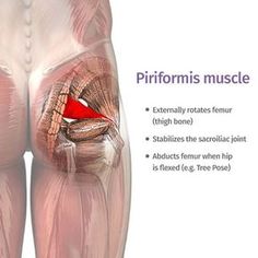 Tight It Band, Psoas Muscle, Muscle Anatomy, Sciatic Nerve Pain