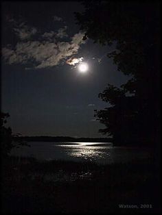 the moon shines brightly in the night sky over water with trees and grass around it