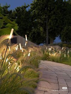 an outdoor area with lights and plants in the foreground, along side a stone path