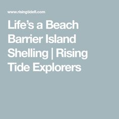 the words life's a beach barrier island shelling / rising tide explorers