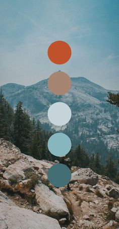 an image of some rocks and trees with mountains in the background