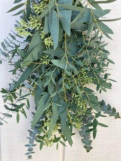 eucalyptus leaves and other greenery hanging on a white wall