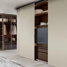 an open closet with a television and clothes on the shelves in front of it, next to a carpeted floor