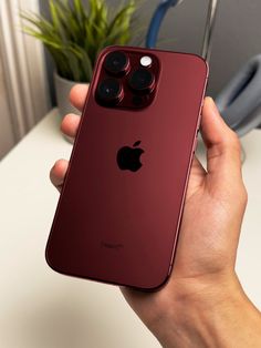 a person holding an iphone 11 in their left hand, with the back camera open