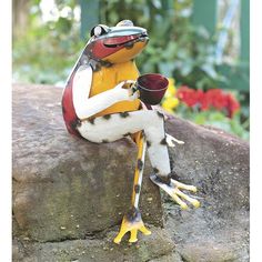 a frog sitting on top of a rock