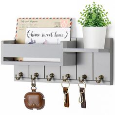 a coat rack with keys, wallets and other items hanging on hooks next to a potted plant