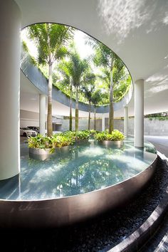 an indoor swimming pool surrounded by palm trees and water features a circular mirror above it