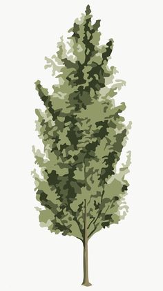 a drawing of a tree with green leaves