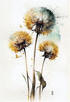 three yellow dandelions with watercolor splashes on them