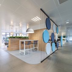 an office with white walls and blue circles on the glass divider between two desks