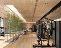 an indoor gym with exercise equipment and bamboo trees in the windowed area on one side