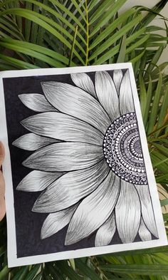 a person holding up a drawing of a sunflower in front of some plants and leaves