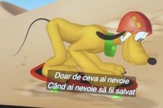 a cartoon dog riding on top of a skateboard in the sand with words written below it