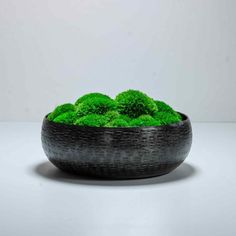 a black bowl filled with green moss sitting on top of a white table next to a wall