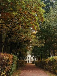 a path leading to a white house surrounded by trees and bushes in the fall season