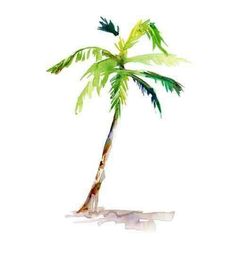 a watercolor painting of a palm tree