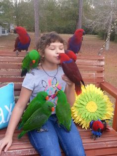 Emily and Facebook eclectus heaven fids Bird Photos, Gym Fits, Cute Wild Animals, Bird Photo, Favorite Pins, Wild Animals, Birdy, Love Birds