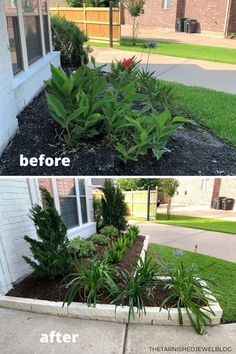 before and after pictures of landscaping in front of a house with plants growing out of the ground