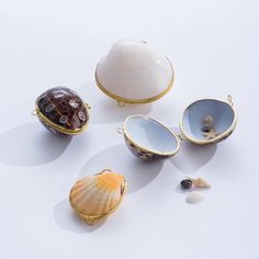 shells and seashells are arranged on a white surface with gold rimmed frames