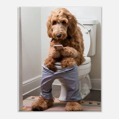 a poodle sitting on top of a toilet seat holding a cell phone in its mouth