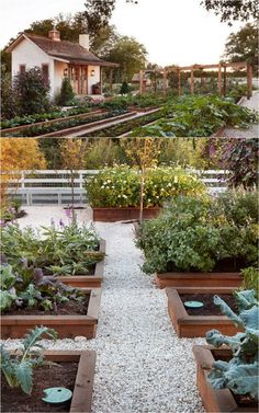 a garden with lots of plants in it and the words vegetable garden layout 7 best design secrets