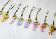 six different colored flowers with green stems and leaves hanging from hooks on a white surface