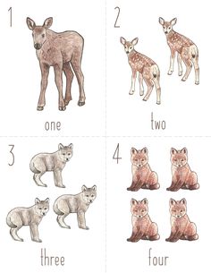 four different types of animals are shown in this drawing lesson for children to learn how to draw