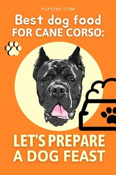 a dog with its tongue out and the words, best dog food for cane cosmo let