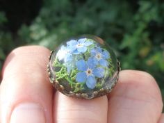 "This romantic forget-me-not ring is made with real reindeer moss and dried blue forget me not flowers. The forget-me-not flowers are from my garden, and were organically dried and conserved, safely captured under a 20 mm (0,79 \") solid glass dome.  The ring base is adjustable.  The moss will stay as mossy green as it is now!. The forget-me-not flowers will stay right where they are now, as the glass dome is filled up to the top with moss. Here is another real flower terrarium ring: https://www Blue Forget Me Not Flowers, Real Reindeer, Flower Terrarium, Botanical Ring, Mini Terrarium, Flower Resin Jewelry, Reindeer Moss, Moss Terrarium, Mossy Green