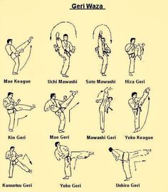 an instruction manual on how to do the karate moves for beginners, with pictures and instructions