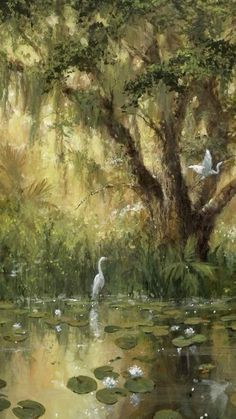 two white birds sitting on top of a tree next to a pond filled with water lilies