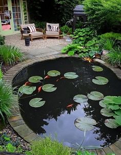 an outdoor pond with water lilies in the center and chairs around it, surrounded by greenery